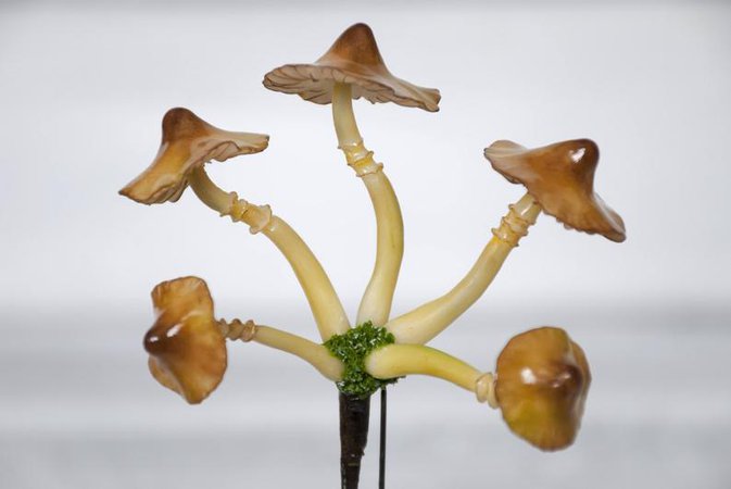 Magic mushroom hair pin Forest witch hair clip Druid headdress | Etsy