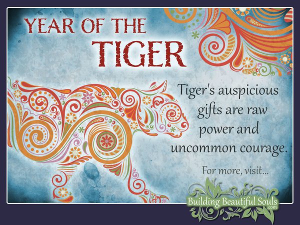 Year of the Tiger | Chinese Zodiac Tiger