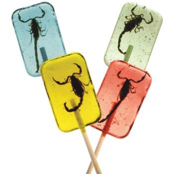 Cricket & Larva Licket Lollipops, Insect Candy: Educational Innovations, Inc.