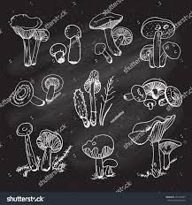 mushroom chalk art - Google Search