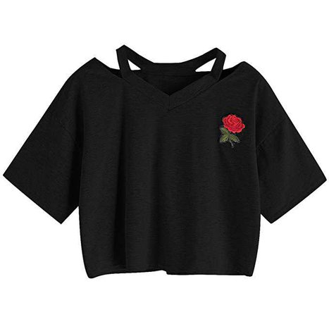 SweatyRocks Women's Embroidered Crop Top Short Sleeve T Shirt at Amazon Women’s Clothing store: