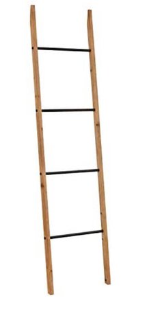 Amazon Ladder