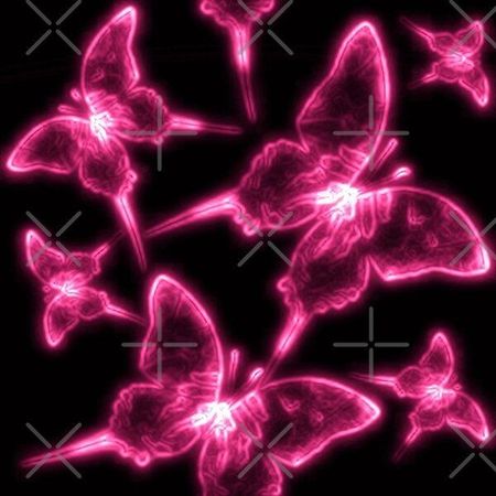 Black and Pink Butterflies