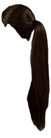 Brown long ponytail
