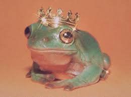 asthetic frogs - Google Search