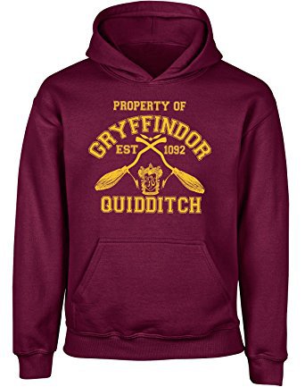 Quidditch Gryffindor hoodie