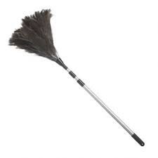 feather duster black - Google Search