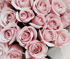 45 kuvaa old rose -kokoelmassa We Heart It -palvelussa | Selaa lisää aiheesta pink, flowers ja rose