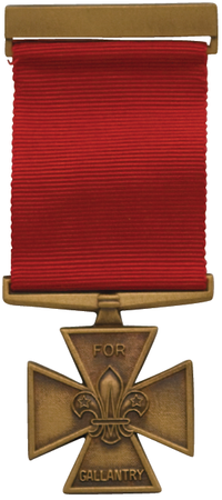 bronze cross medal