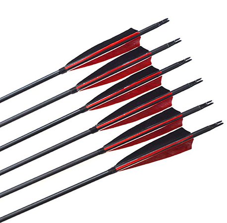 Amazon.com : Best-selling Black Archery 31" Carbon Fiber Hunting/Targeting Arrows Fletching 5" Black & Red Peltate Shape True Feathers With Replacement Screw-in Field Points (24 Pack) : Sports & Outdoors