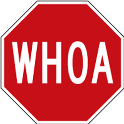 Buy WHOA Stop Sign from STOPSignsAndMore.com