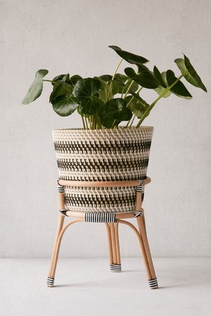 Bistro 12” Rattan Planter + Stand | Urban Outfitters
