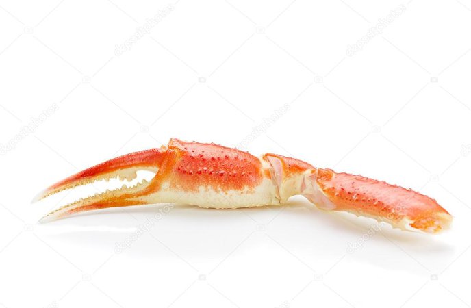 Boiled crab claws isolated on white background — Stock Photo © Ostancoff #102843376