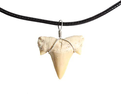 Dey Designs Shark Tooth Necklace for Men - Authentic Real Fossil Shark Pendants on Braided Leather Necklaces - Mens Necklace - Gifts for Men - Mens Jewelry - Fashion Jewelry for Men | Amazon.com