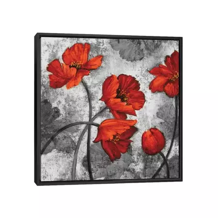 iCanvas "Evening Red II" by Brian Francis Framed Canvas Print - Bed Bath & Beyond - 36649433