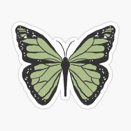green butterfly sticker