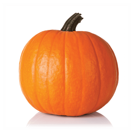 pumpkin.png (549×549)