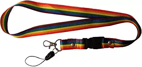 Amazon.ca : pride accessories