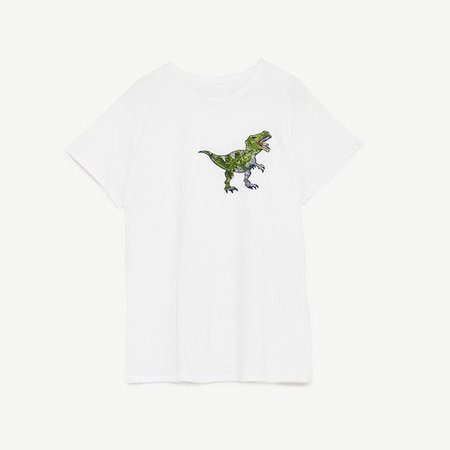 Zara dinosaur t-shirt