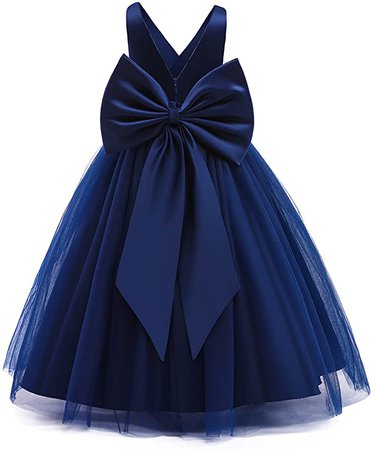 Amazon.com: NNJXD Girl Sleeveless Embroidery Princess Pageant Dresses Kids Prom Ball Gown : Clothing, Shoes & Jewelry