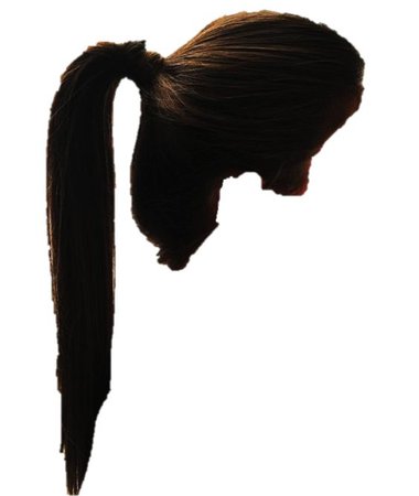 transparent brown hair ponytail