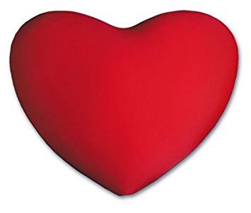 Deluxe Comfort HSP-002-10 Micro Bead Squishy Heart-Shaped Pillow-Red: Amazon.ca: Gateway
