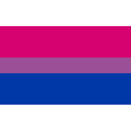 bisexual pride flag - Google Search