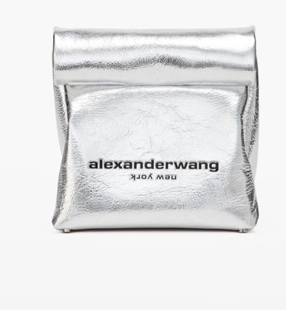 Alexander wang lunch bag clutch