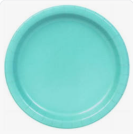 teal plate 🩵🍽️