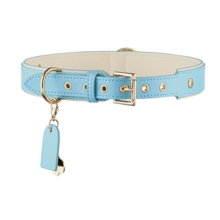 Luxury Dog Collar | Light Blue - White – Tommy & Bella