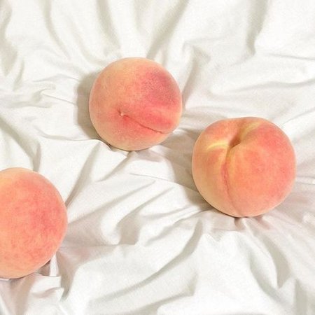 peach aesthetic photography