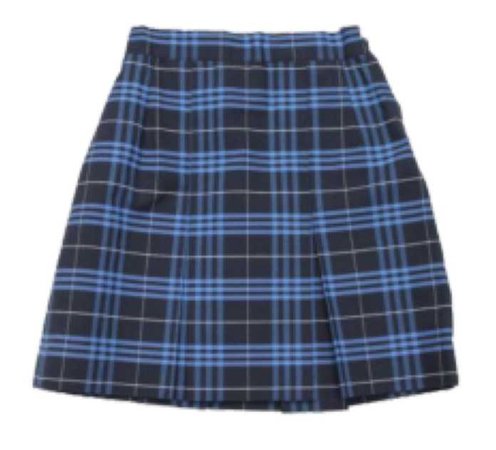 blue plaid skirt