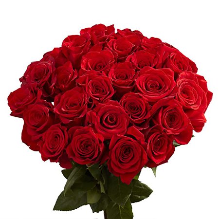 Amazon.com : GlobalRose 100 Red Roses- Lovely Fresh Flowers- Next Day Delivery by Tuesday November 10 : Fresh Cut Format Rose Flowers : Grocery & Gourmet Food