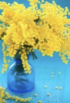 yellow flower and blue