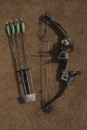 bow and arrows - Google Search