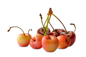 menu-cherries-1-300x200.png (300×200)