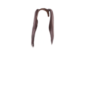 Brown Hair PNG Pigtails
