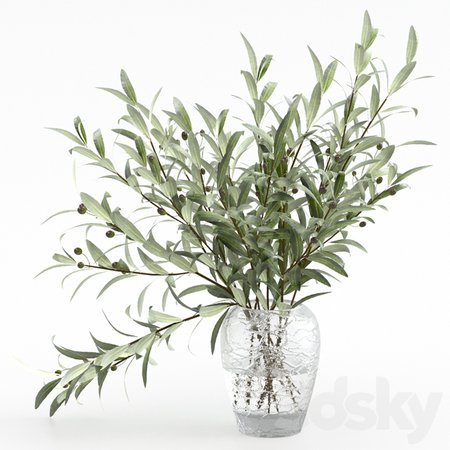 3d models: Bouquet - Olive branches in a vase