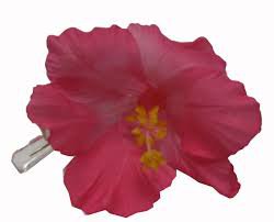 hibiscus hair clips - Google Search