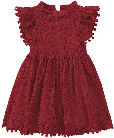 Amazon.com: Niyage Toddler Girls Elegant Lace Pom Pom Flutter Sleeve Party Princess Dress: Clothing
