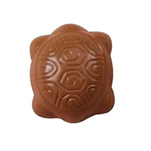 chocolate turtle 🐢