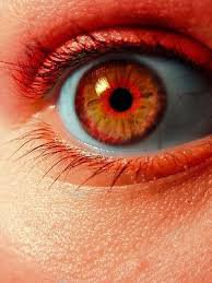 orange eyes - Google Search