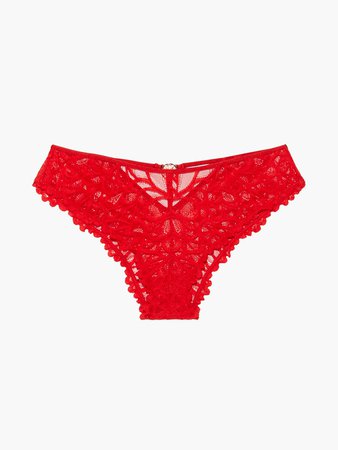 Savage Not Sorry Lace Cheeky in Red | SAVAGE X FENTY