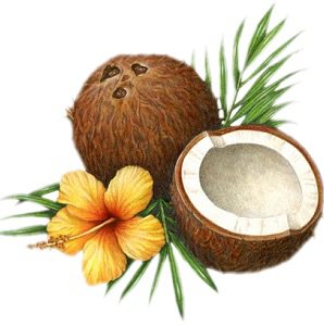 coconut 🥥