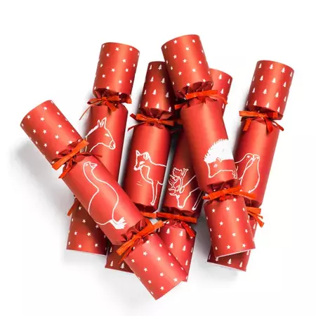 Christmas Crackers With Hugo Guinness Design