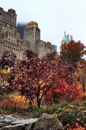 Photo Uploader for Pinterest | Autumn in new york, Scenery, Nyc trip