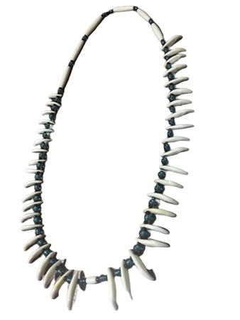 coyote tooth necklace
