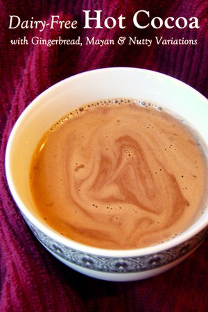 Dairy-Free Hot Cocoa Recipe + Gingerbread, Aztec & Nutty Variations