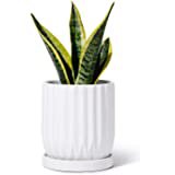 Amazon.com : Flora Bunda 6 in & 4.25 in Lobster Ceramic Footed Plant Pot, Glass Teal Set of 2 : Garden & Outdoor
