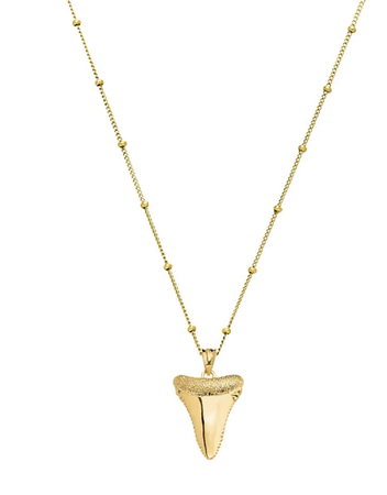 shark tooth necklace ATOLEA